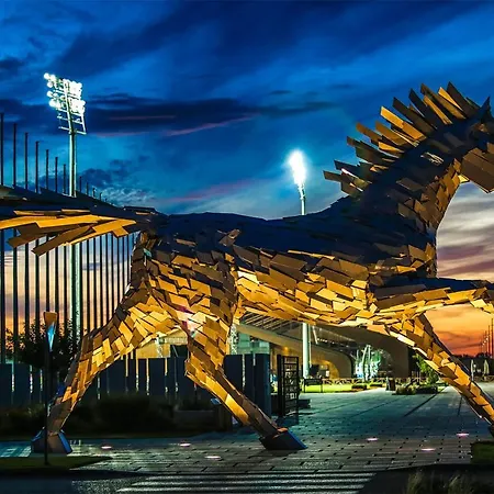 リゾート X-bionic 4*