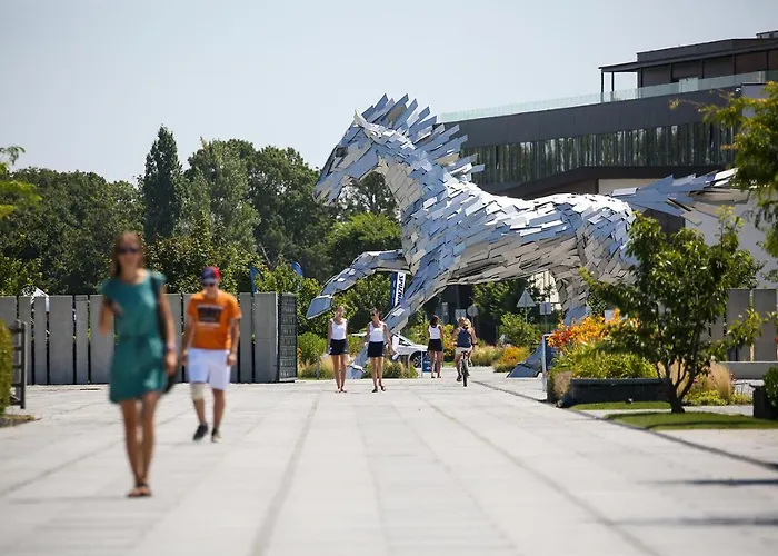 X-bionic Resort Samorin