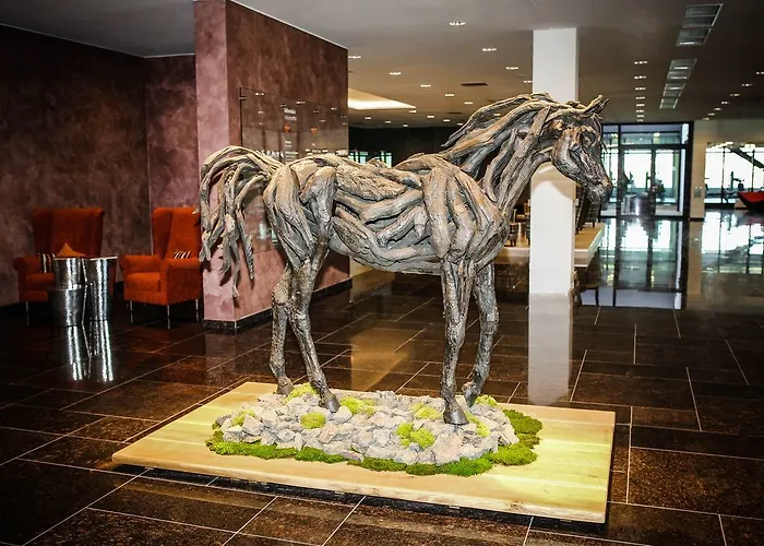 Resort X-bionic Samorin